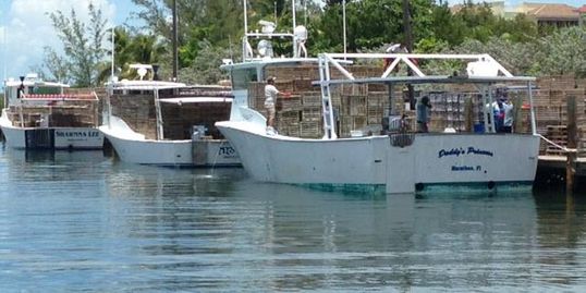 Florida Keys Commercial Fisherman's Association – Florida Keys Commercial  Fishing Organization